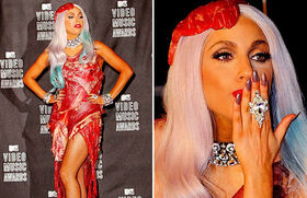 20 Kilo pures Rindfleisch: Lady Gaga sorgte bei den MTV Video Music Awards 2010 im Fleischkleid für Aufsehen. Die Rezeption: Eine Mischung aus Begeisterung und dem Aufschrei von Tierschützern. Manche verglichen es mit Werken des Malers Francis Bacon. Andere mit unnötigem Tod. Oder doch ein Ausdruck von Feminismus, ein "Anti-Fashion" Statement, ein Zeichen gegen die Fleischbeschau?
Heute hängt es - wohlgemerkt konserviert und gefärbt - in der Rock and Roll Hall of Fame in Cleveland. Und wer ist Schuld daran? Laut Eric T. Hansen der ausgeprägte Antiintellektualismus der Amerikaner und dessen Schub für die Populärkultur.
