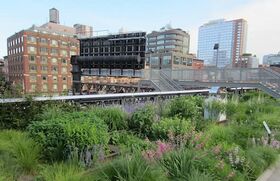 Auf der New Yorker „High Line" gibt es Führungen durch die Blumenbeete, kostenlose Sportkurse, gemeinsames Sternegucken, Konzerte und Angebote für Kinder.